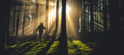 kiwihug-ZzHnFYMYBrg-unsplash